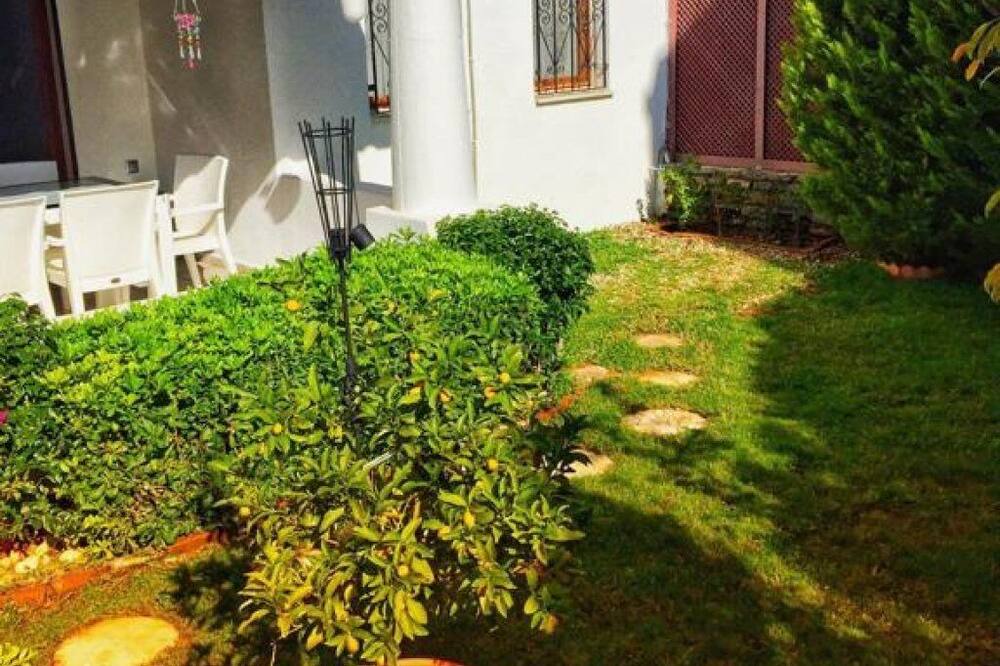 Photo of Outdoor in Torba