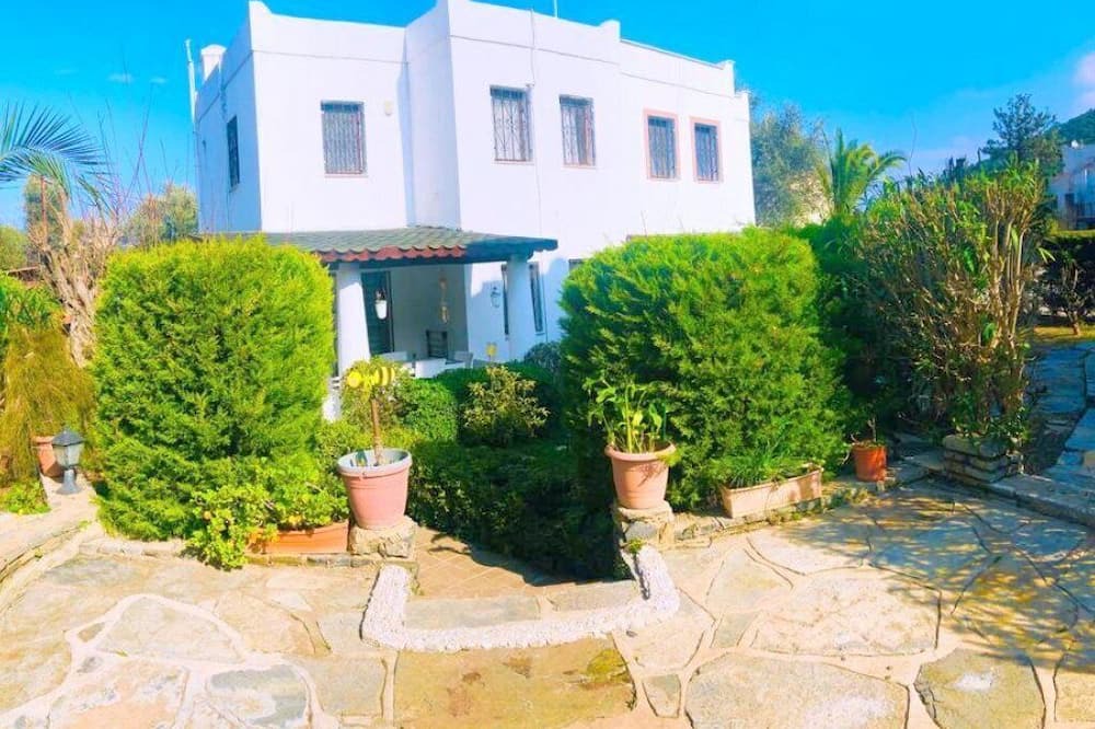 Photo of Outdoor in Torba