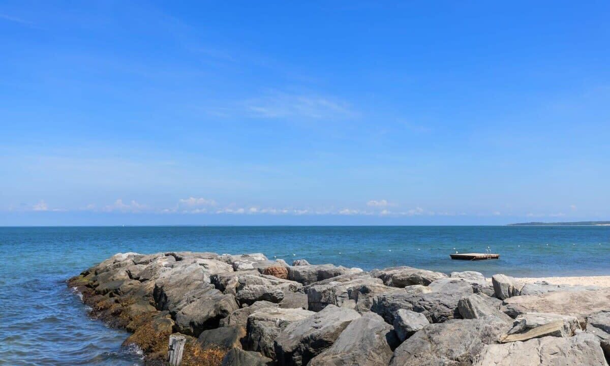 Photo of Others in Clearwater Beach