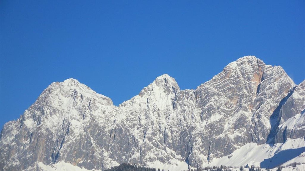 Photo of Others in Schildlehen