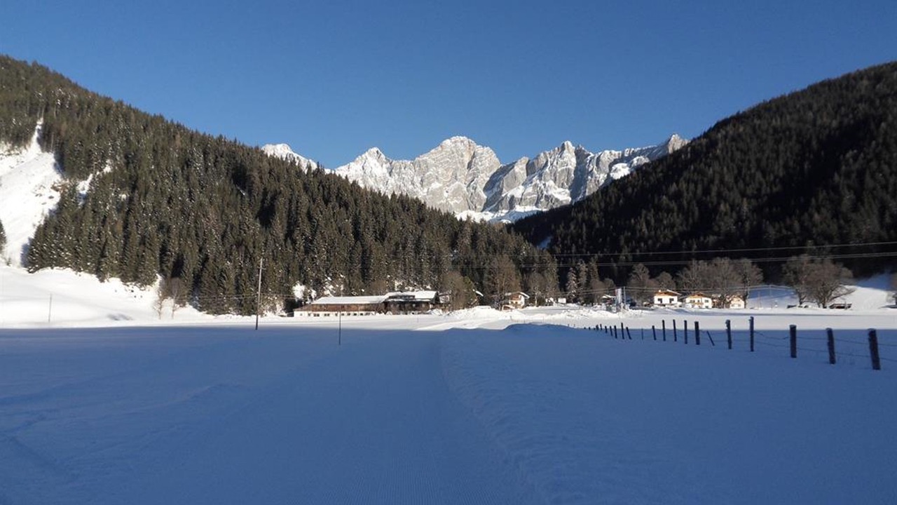 Photo of Others in Schildlehen