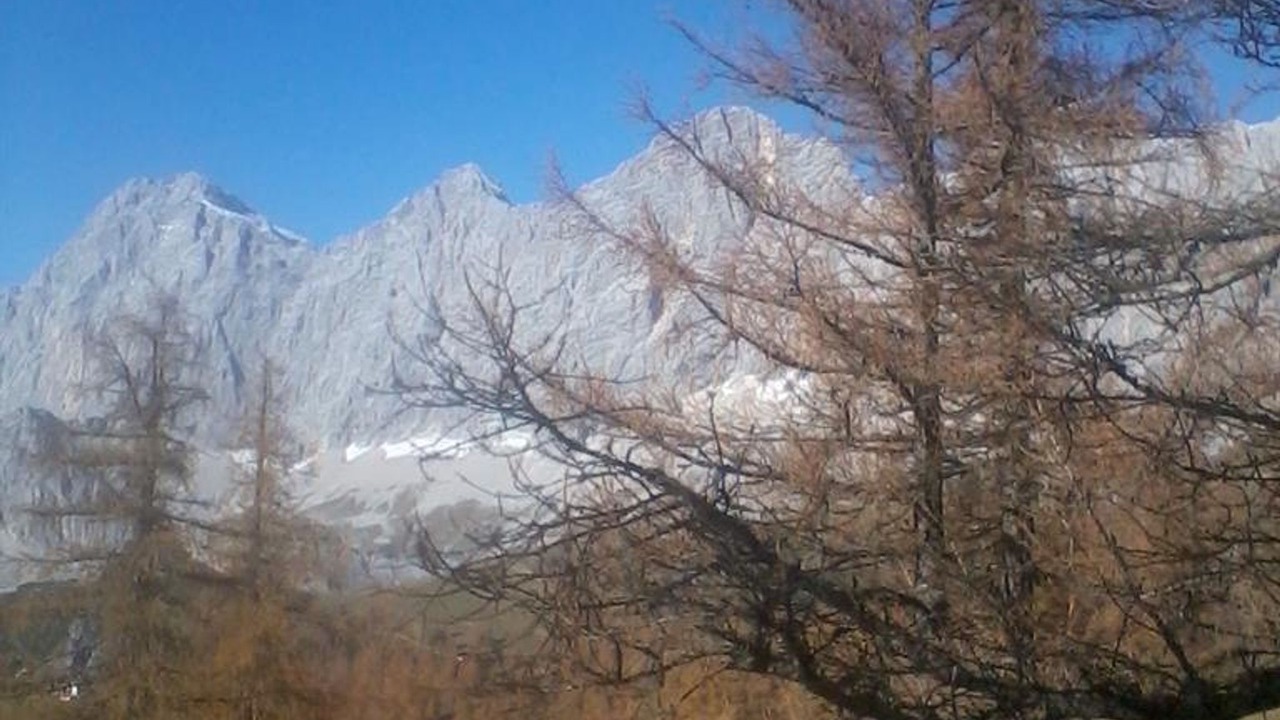 Photo of Others in Schildlehen
