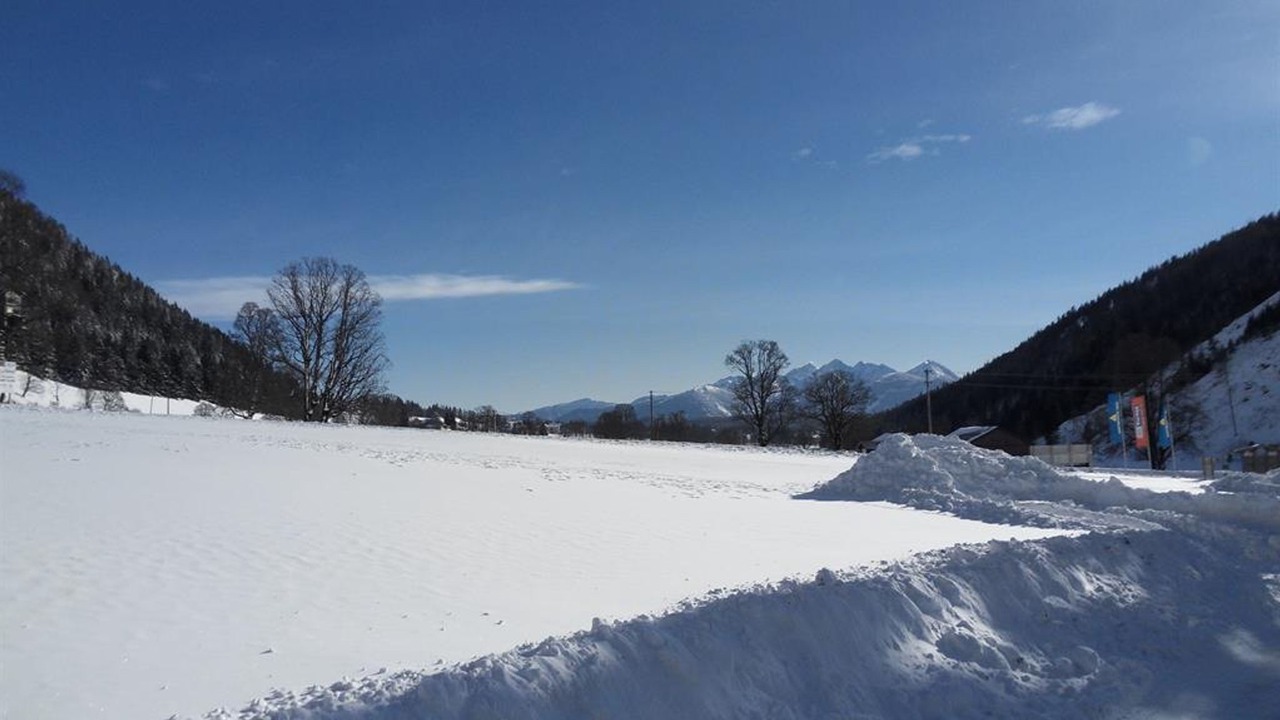 Photo of Others in Schildlehen
