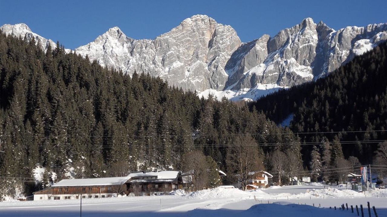 Photo of Others in Schildlehen