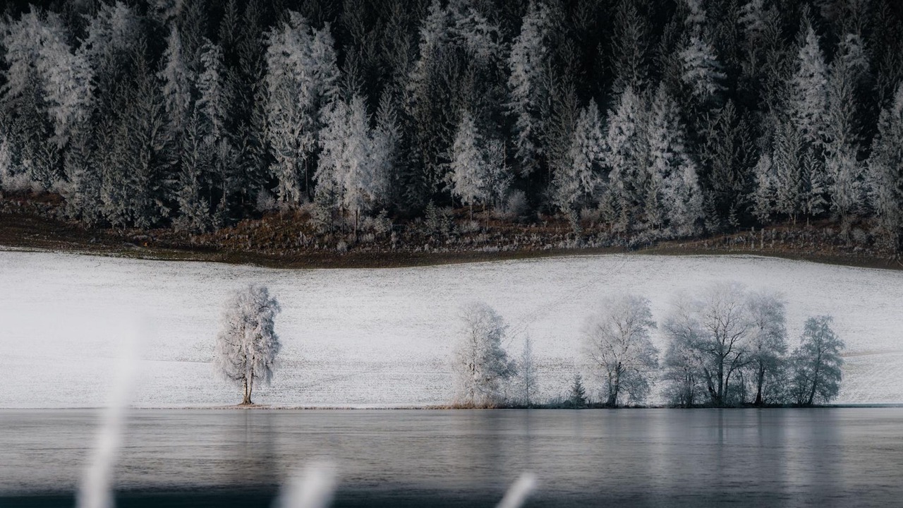 Photo of Others in Aigen im Ennstal