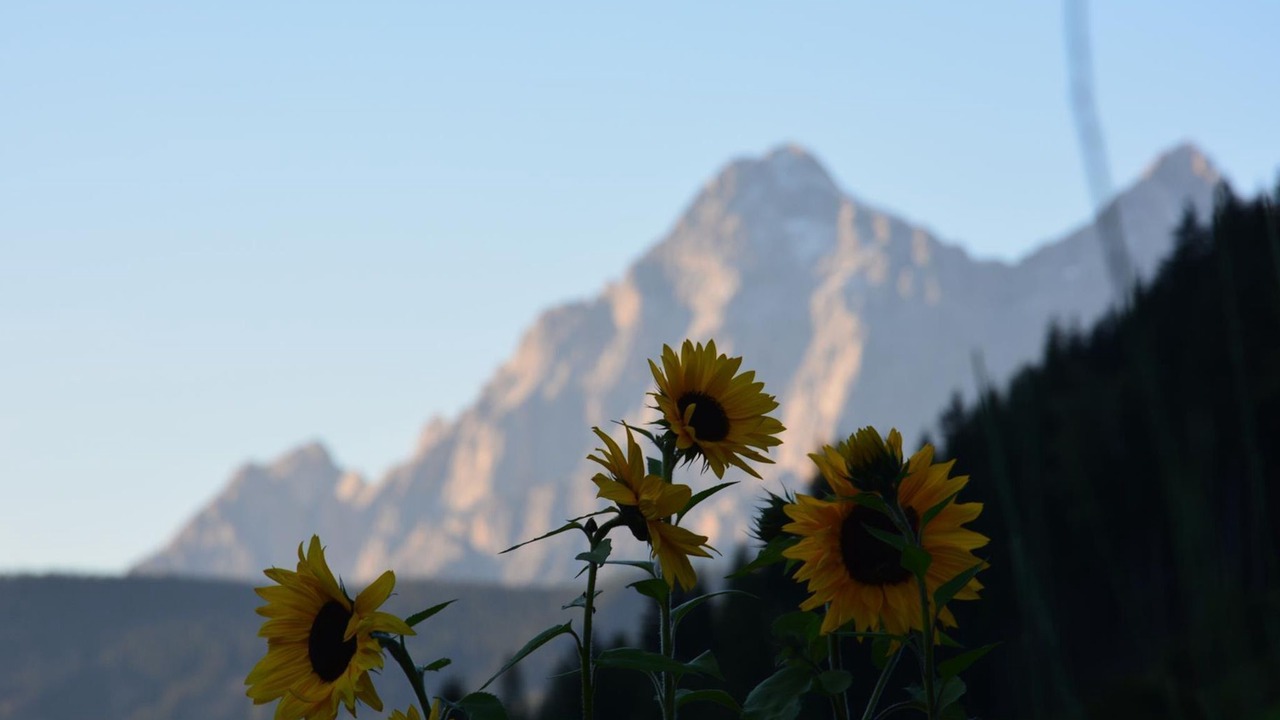 Photo of Outdoor in Pichl-Preunegg