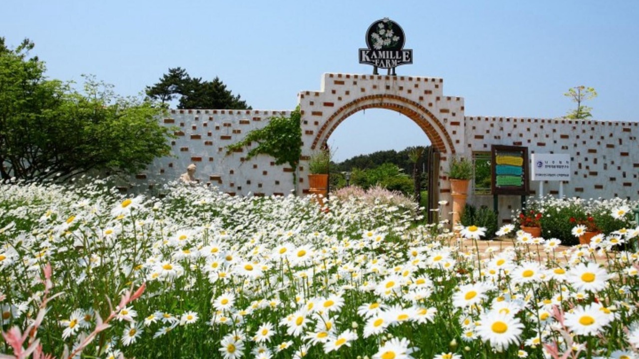 Photo of Others in Sanha-ri