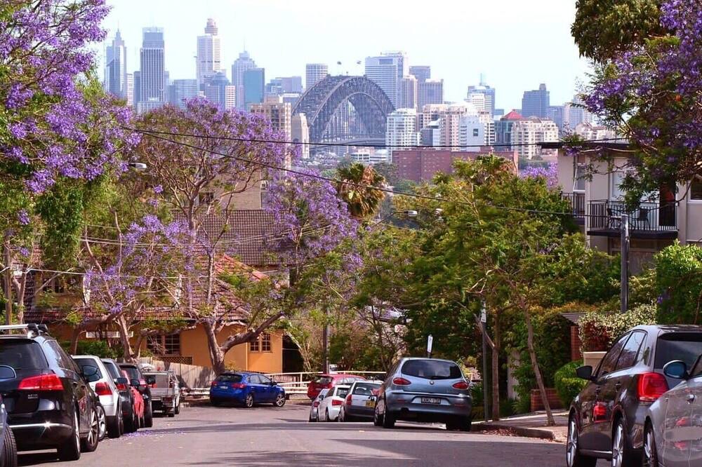 Photo of Outdoor in Neutral Bay