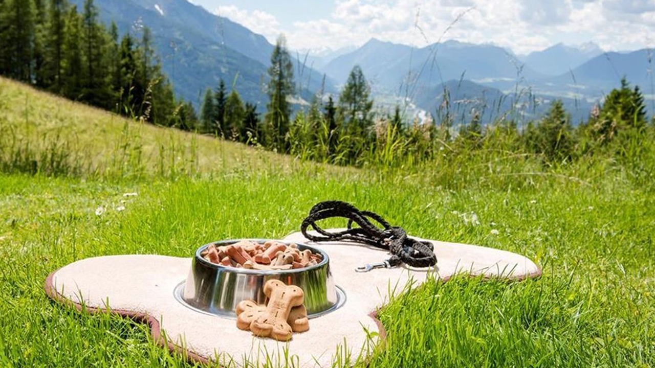 Photo of Outdoor in Mosern