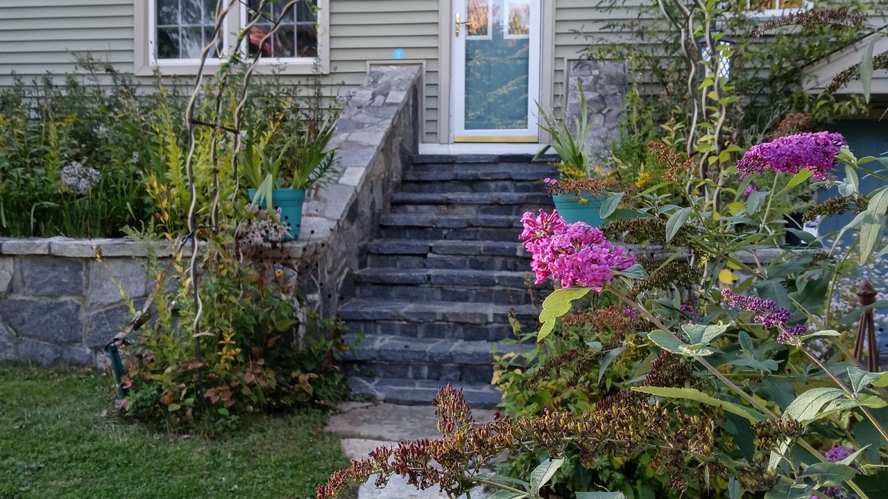 Photo of Outdoor in Colchester