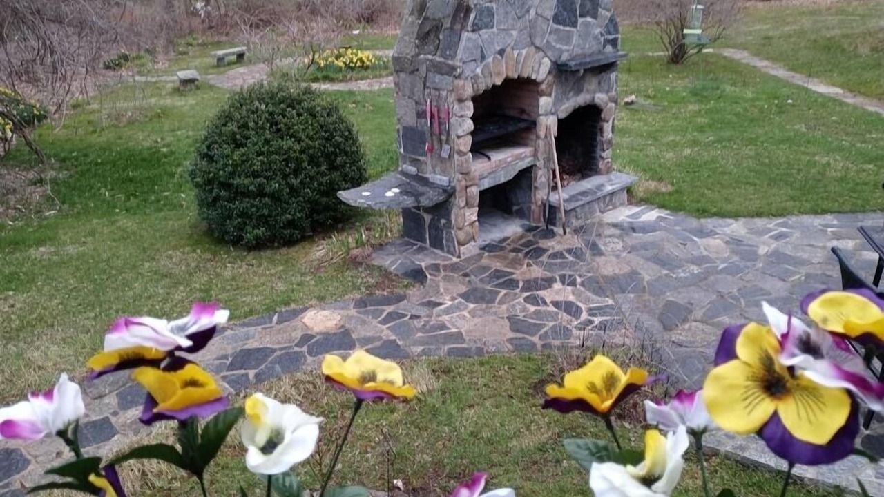 Photo of Outdoor in Colchester