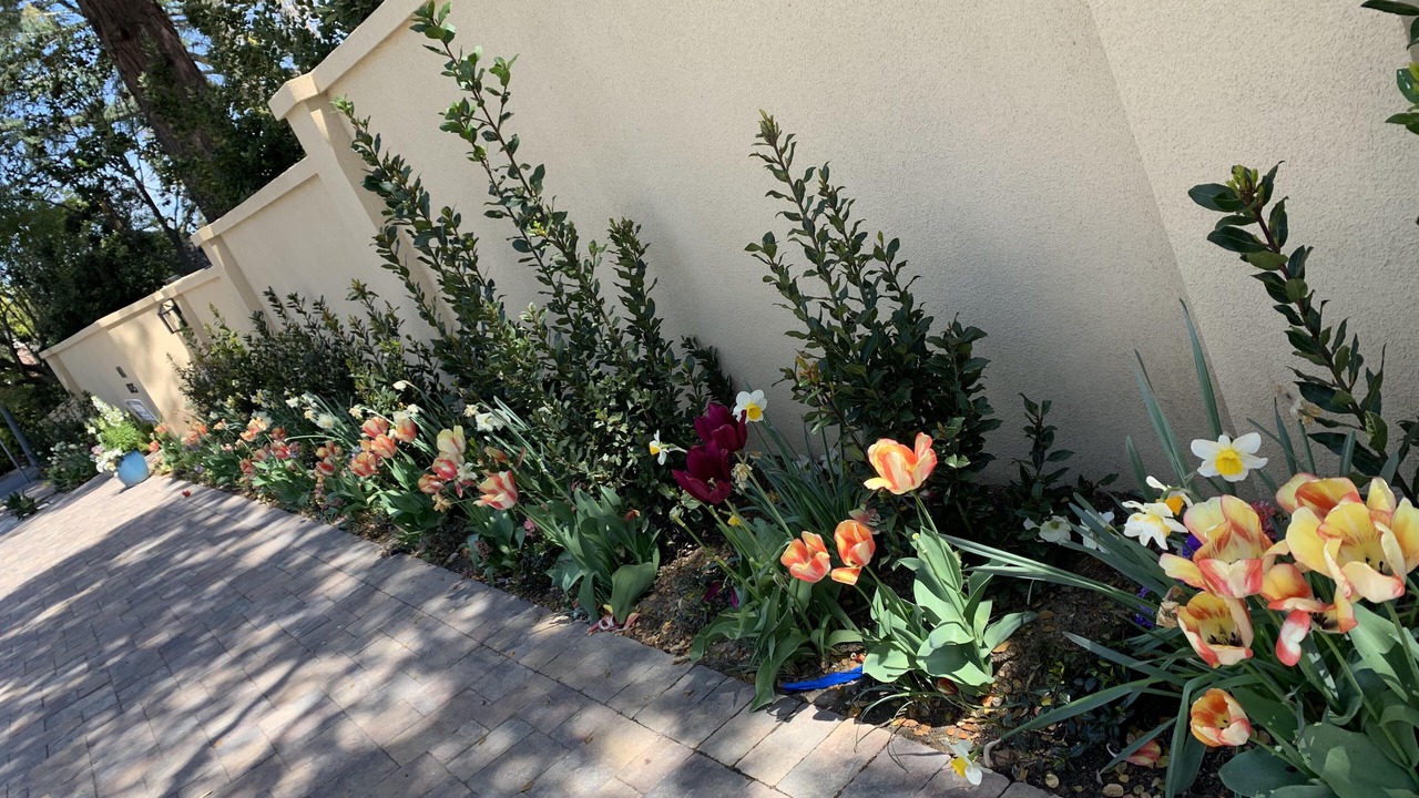 Photo of Outdoor in Sunset District