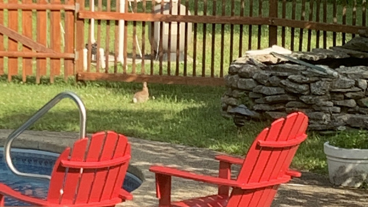 Photo of Outdoor in East Haddam