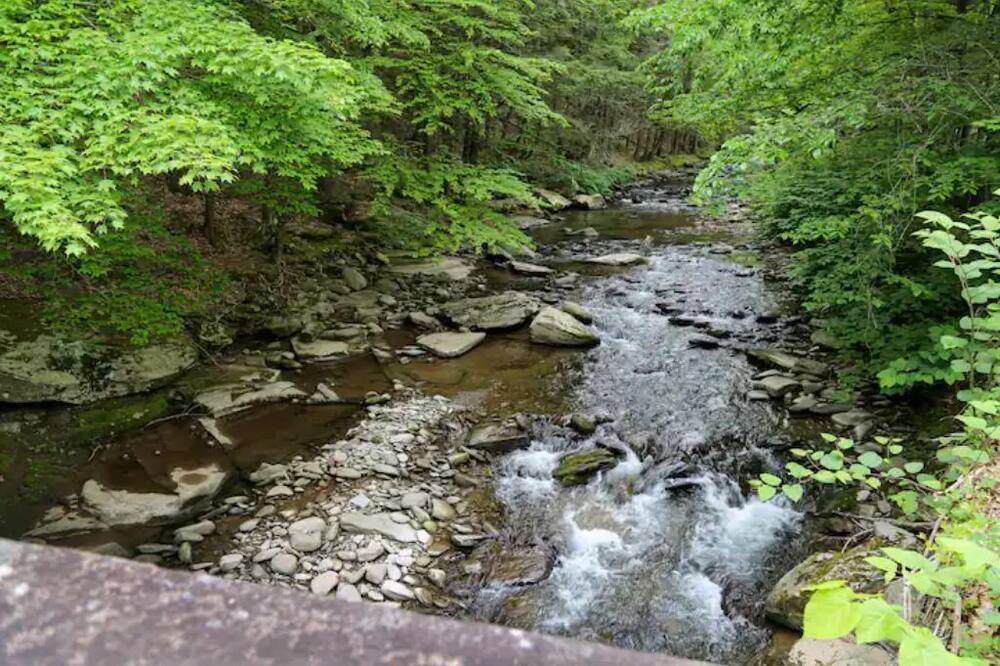 Photo of Outdoor in Hankins