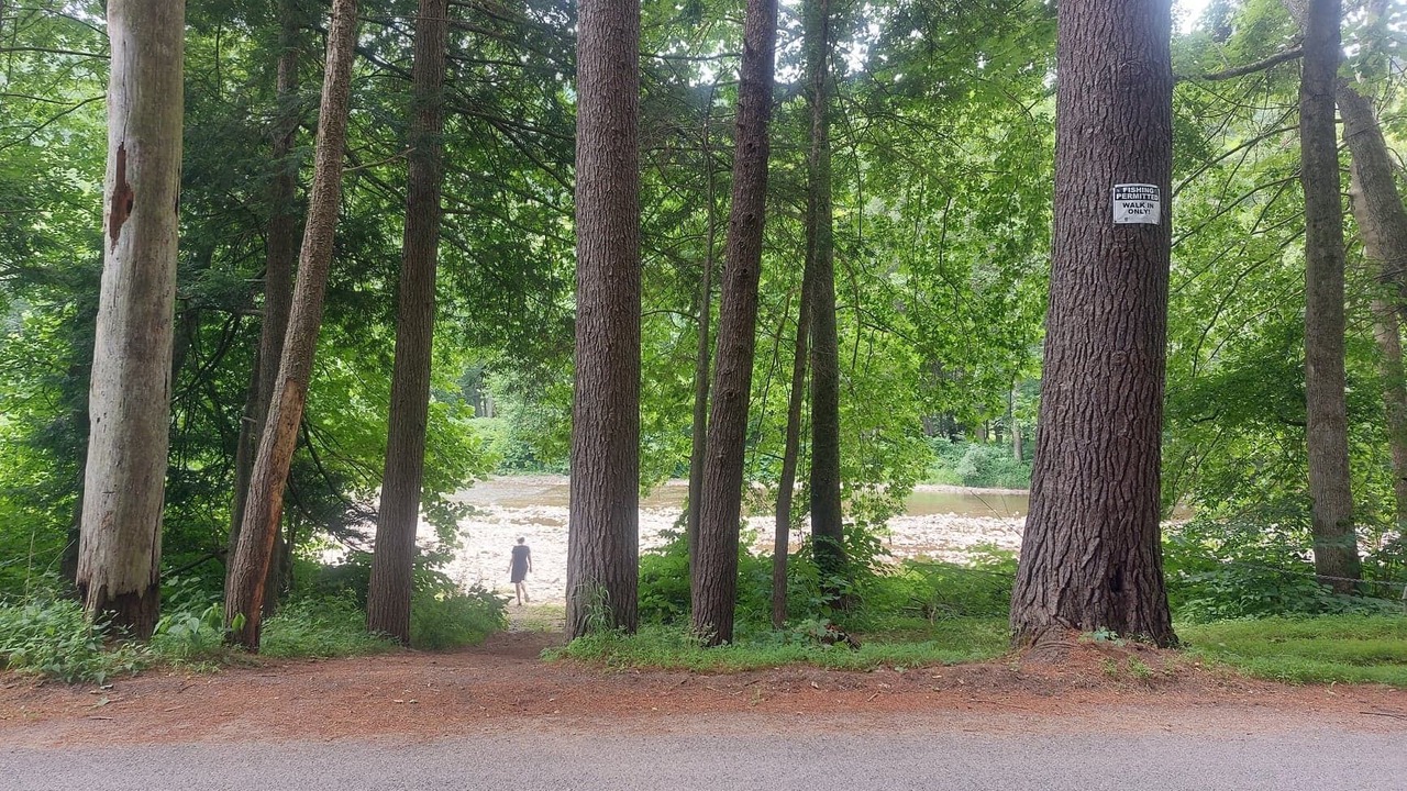 Photo of Outdoor in Bodines