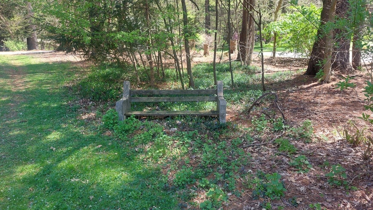 Photo of Outdoor in Bodines