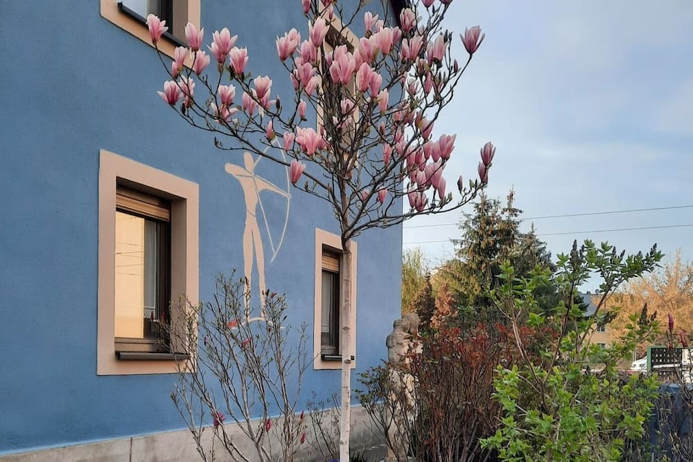 Photo of Outdoor in Mickten