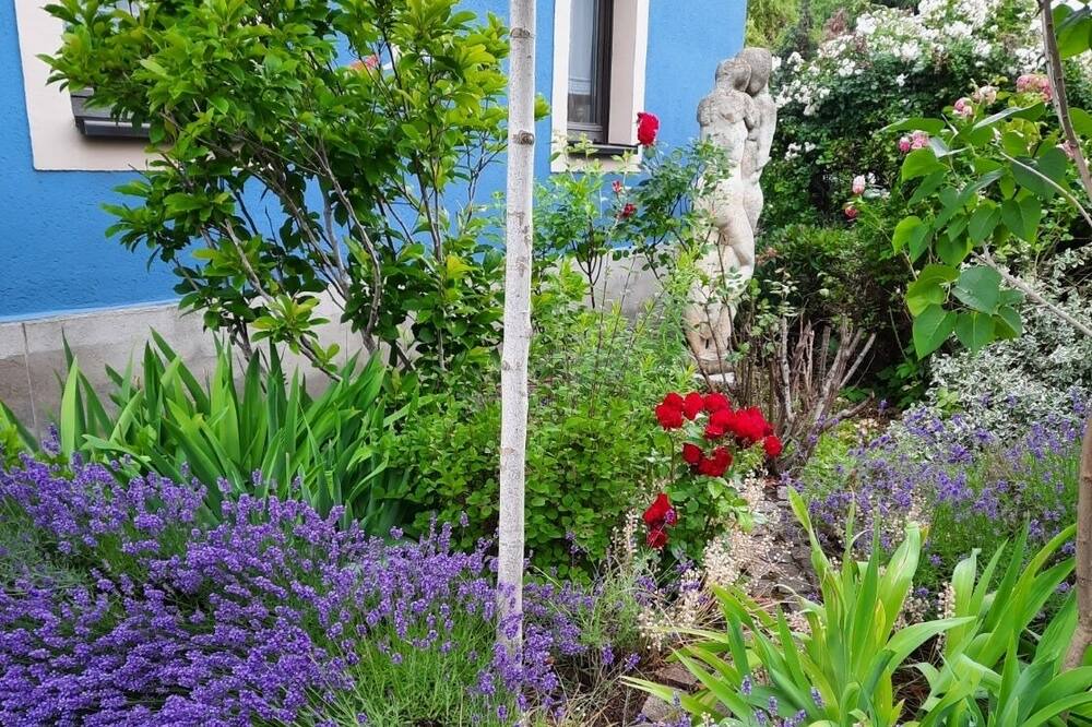 Photo of Outdoor in Mickten