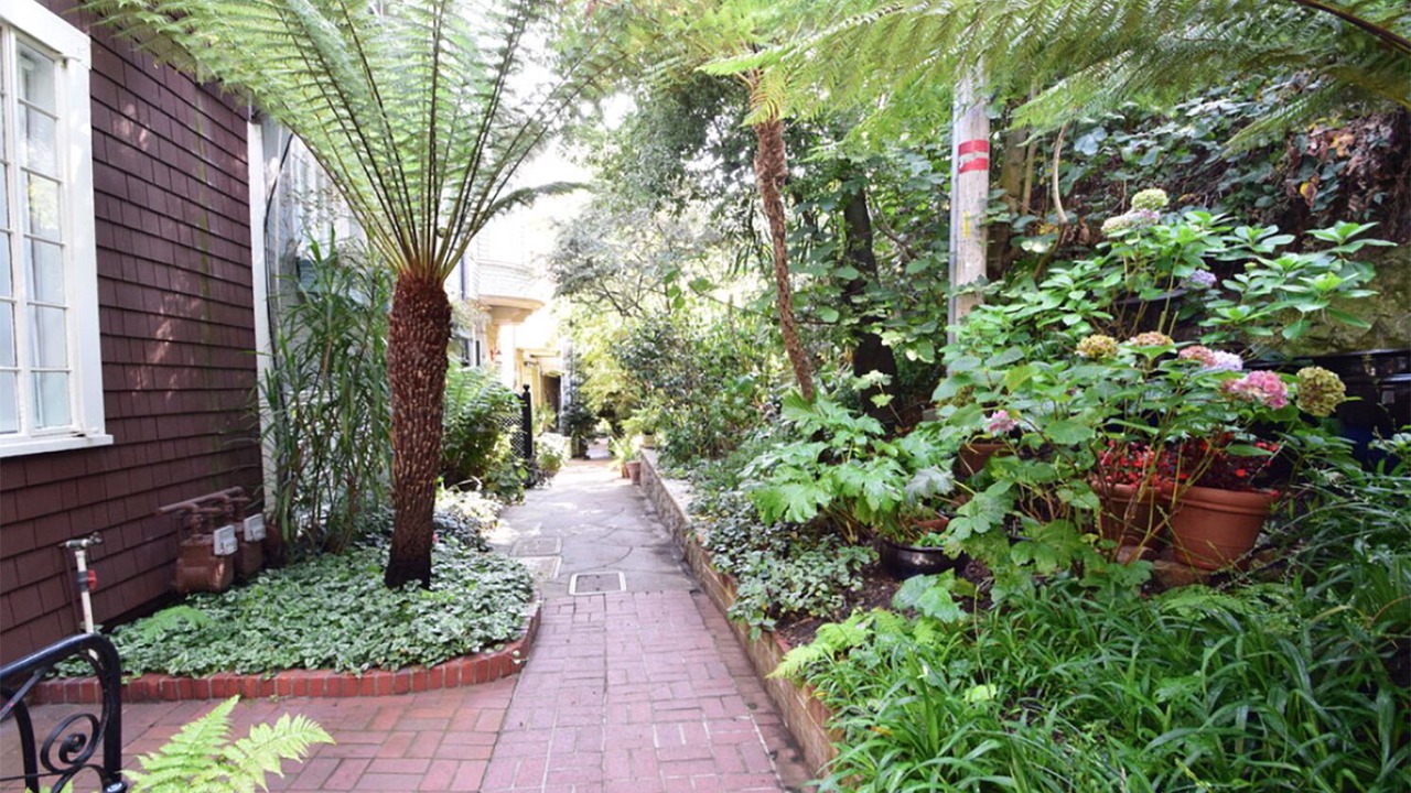 Photo of Outdoor in Russian Hill