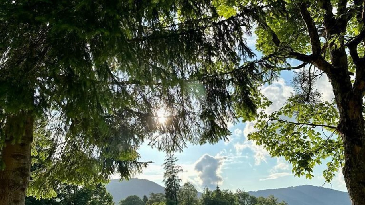 Photo of Outdoor in Abwinkl