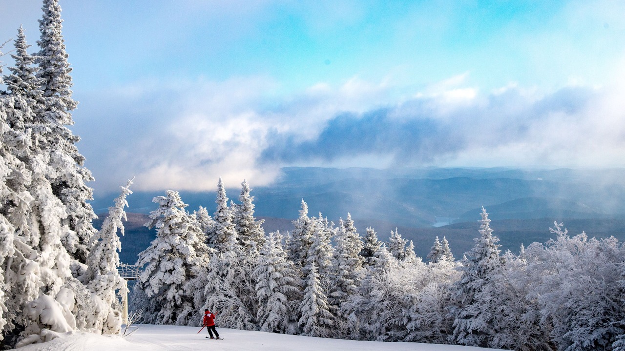 Photo of Others in Stratton Mountain