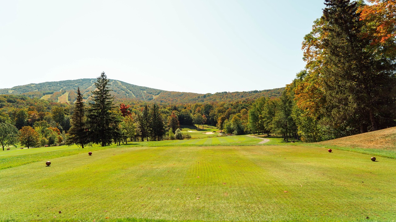 Photo of Others in Stratton Mountain