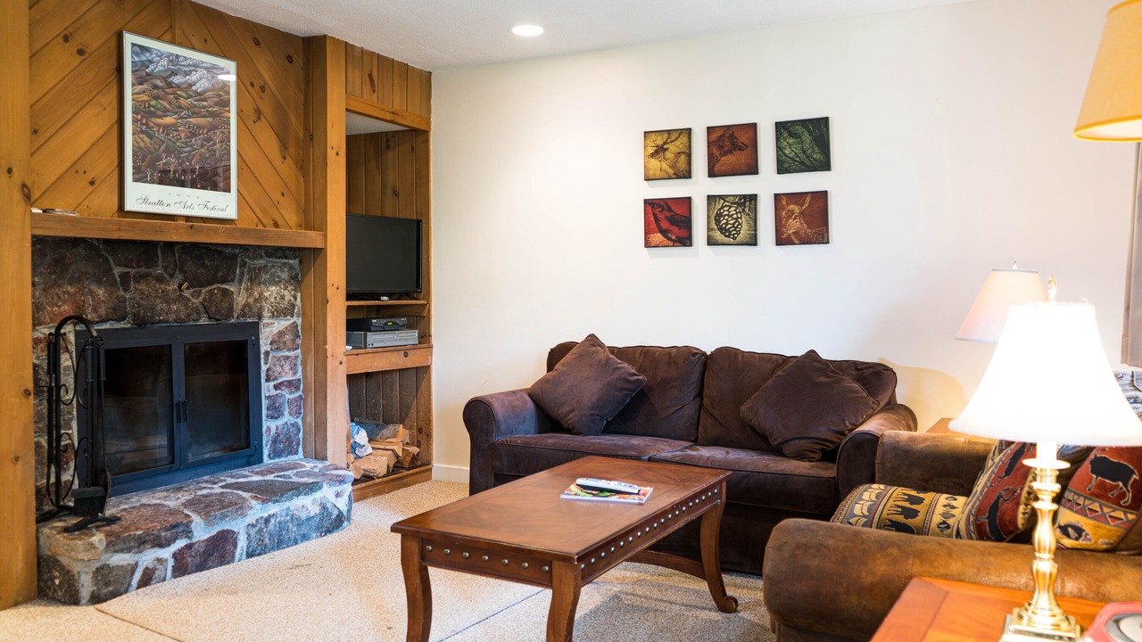 Photo of Livingroom in Stratton Mountain