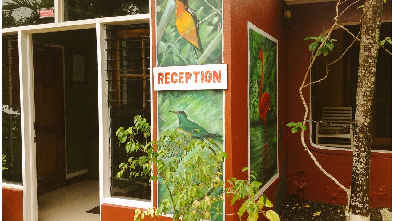 Photo of Outdoor in Port Antonio