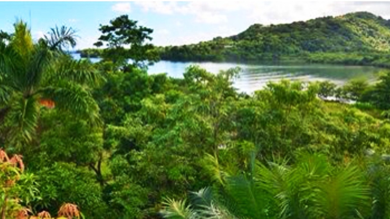 Photo of Others in Port Antonio