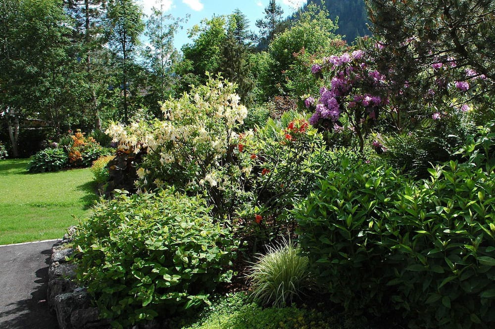 Photo of Outdoor in Tannheim