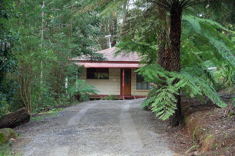 Photo of Outdoor in Mount Dandenong