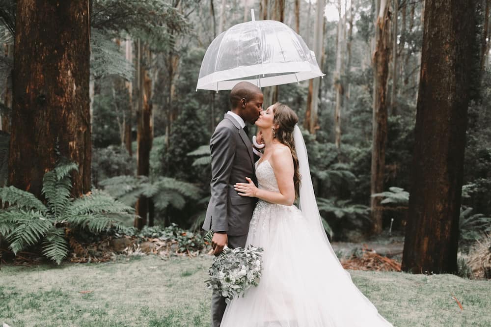 Photo of Outdoor in Mount Dandenong