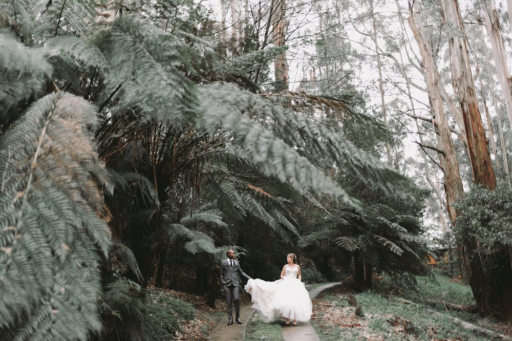 Photo of Outdoor in Mount Dandenong