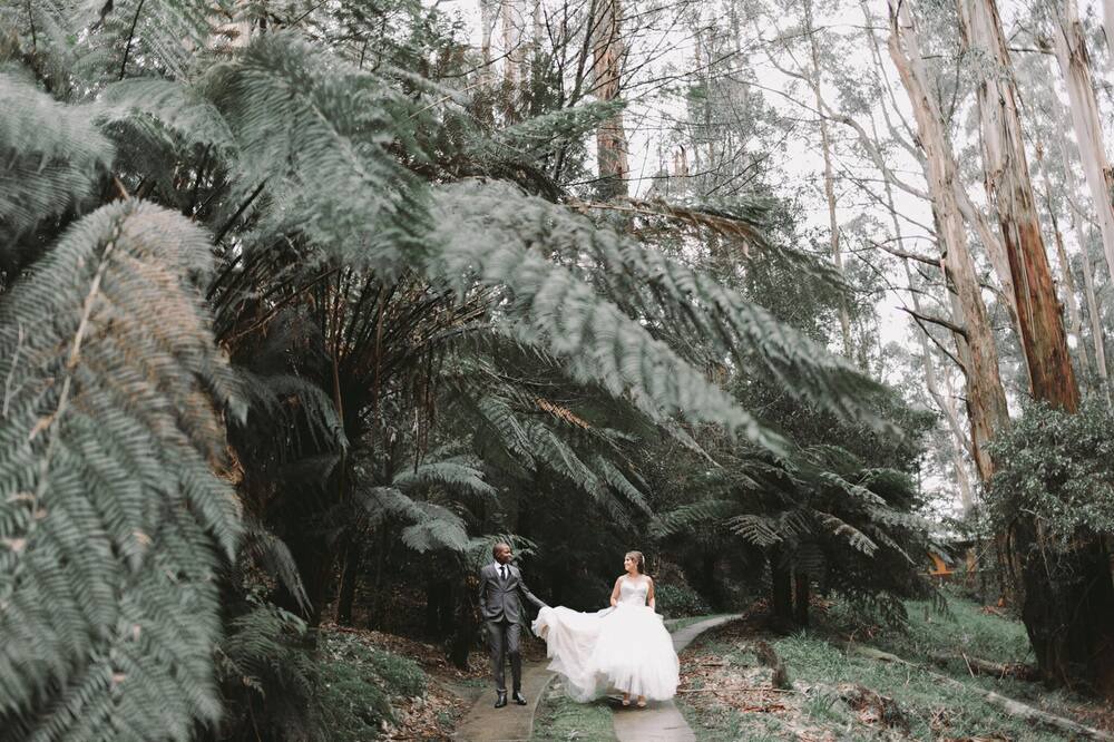 Photo of Outdoor in Mount Dandenong