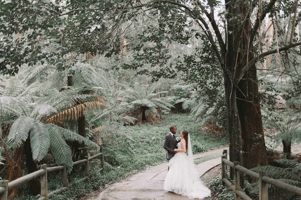 Photo of Outdoor in Mount Dandenong