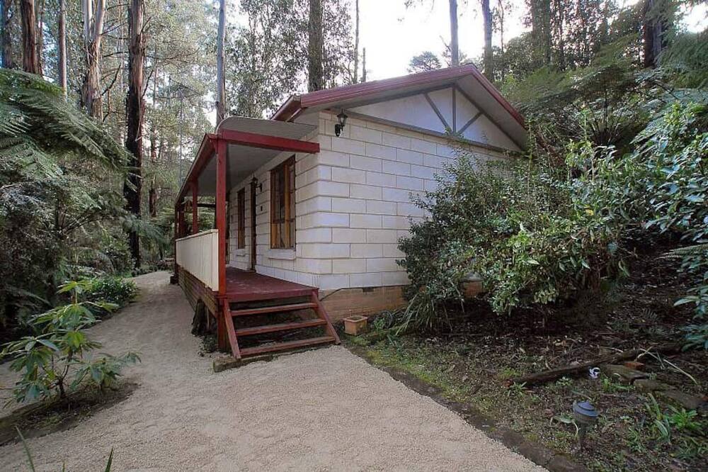 Photo of Others in Mount Dandenong