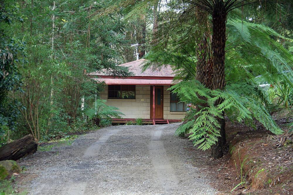 Photo of Outdoor in Mount Dandenong