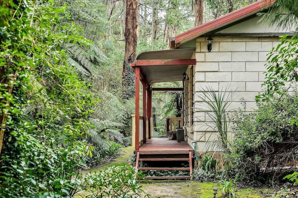 Photo of Others in Mount Dandenong