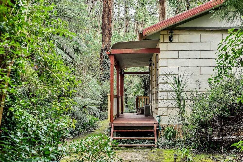 Photo of Others in Mount Dandenong