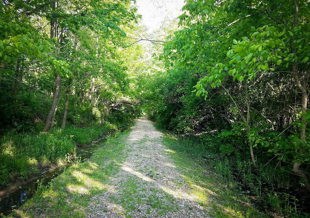 Photo of Outdoor in Alto Pass