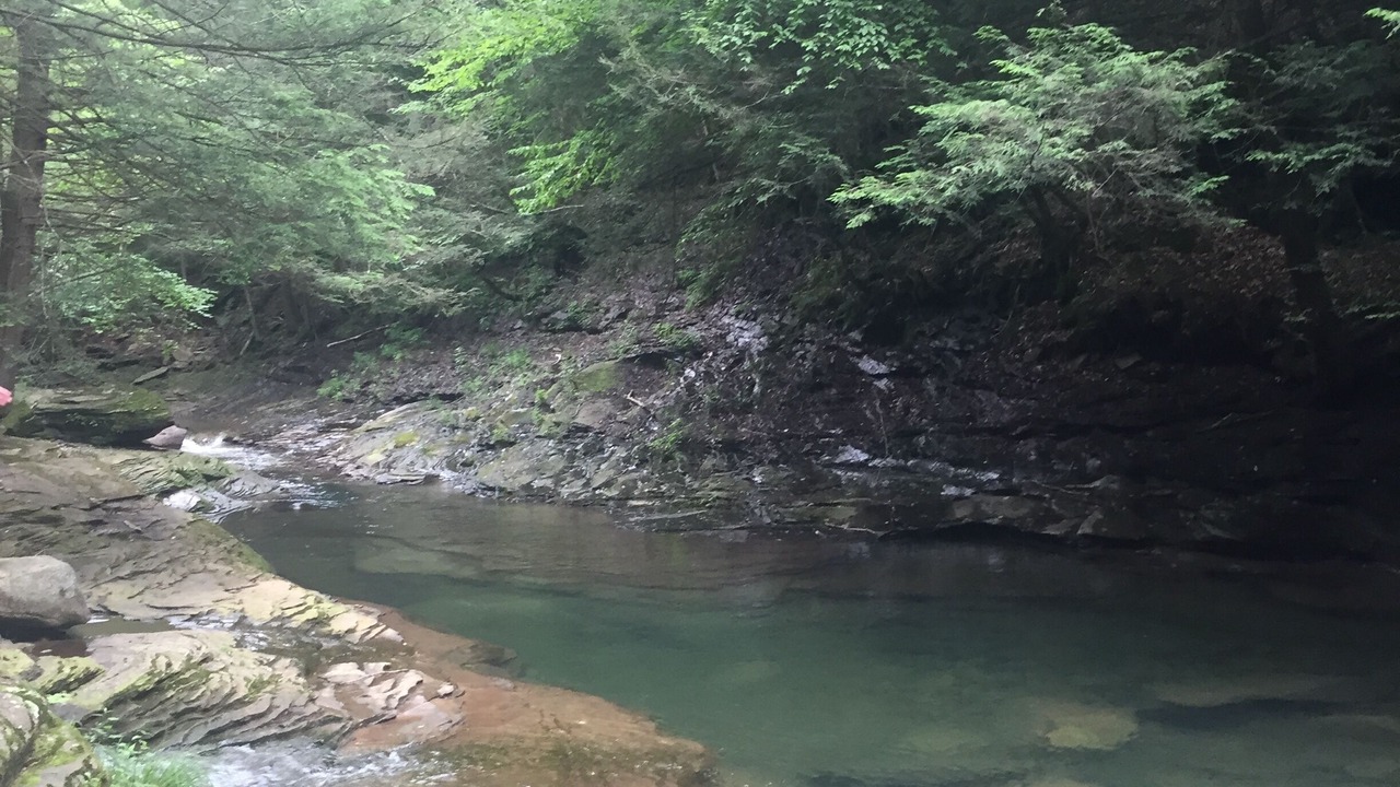 Photo of Outdoor in Ralston