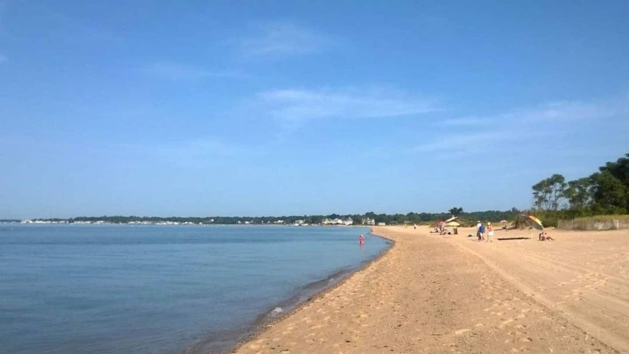 Photo of Others in Madison