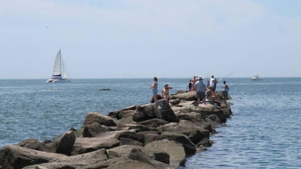 Photo of Others in Madison