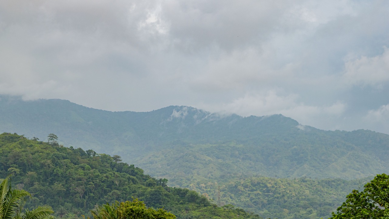 Photo of Others in Calabazo
