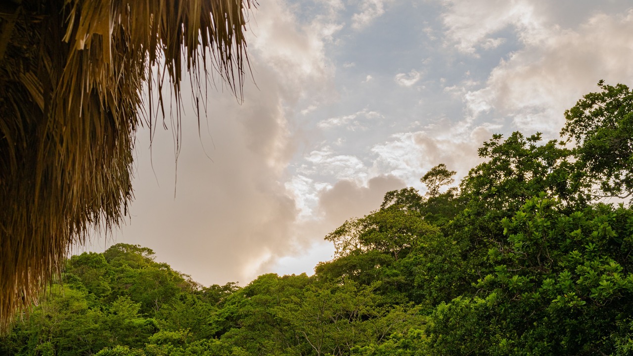 Photo of Others in Calabazo