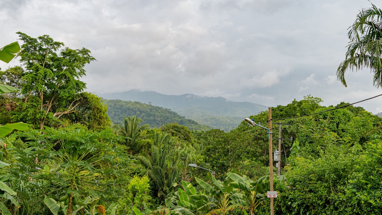Photo of Others in Calabazo