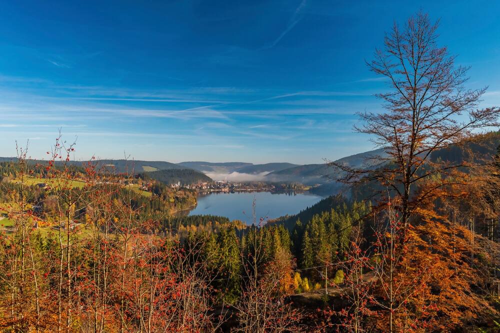Photo of Others in Todtnauberg