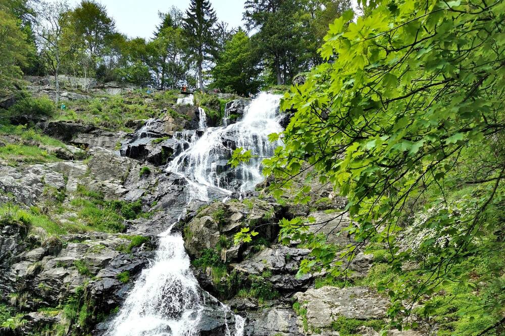 Photo of Outdoor in Todtnauberg
