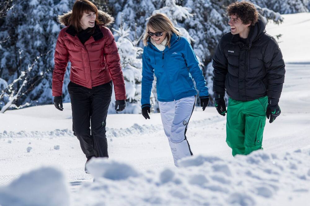 Photo of Others in Todtnauberg