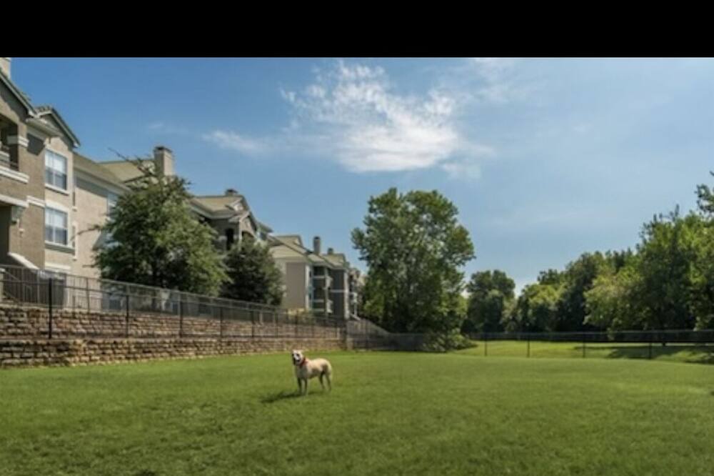 Photo of Outdoor in Addison